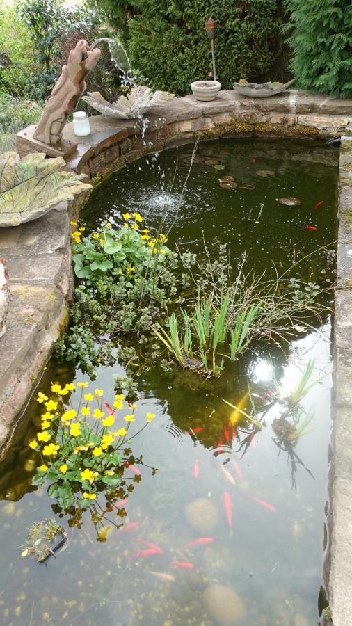 Le Jardin Des Secrets Bed and Breakfast La Voivre  Buitenkant foto