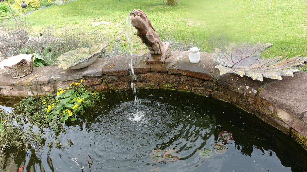 Le Jardin Des Secrets Bed and Breakfast La Voivre  Buitenkant foto