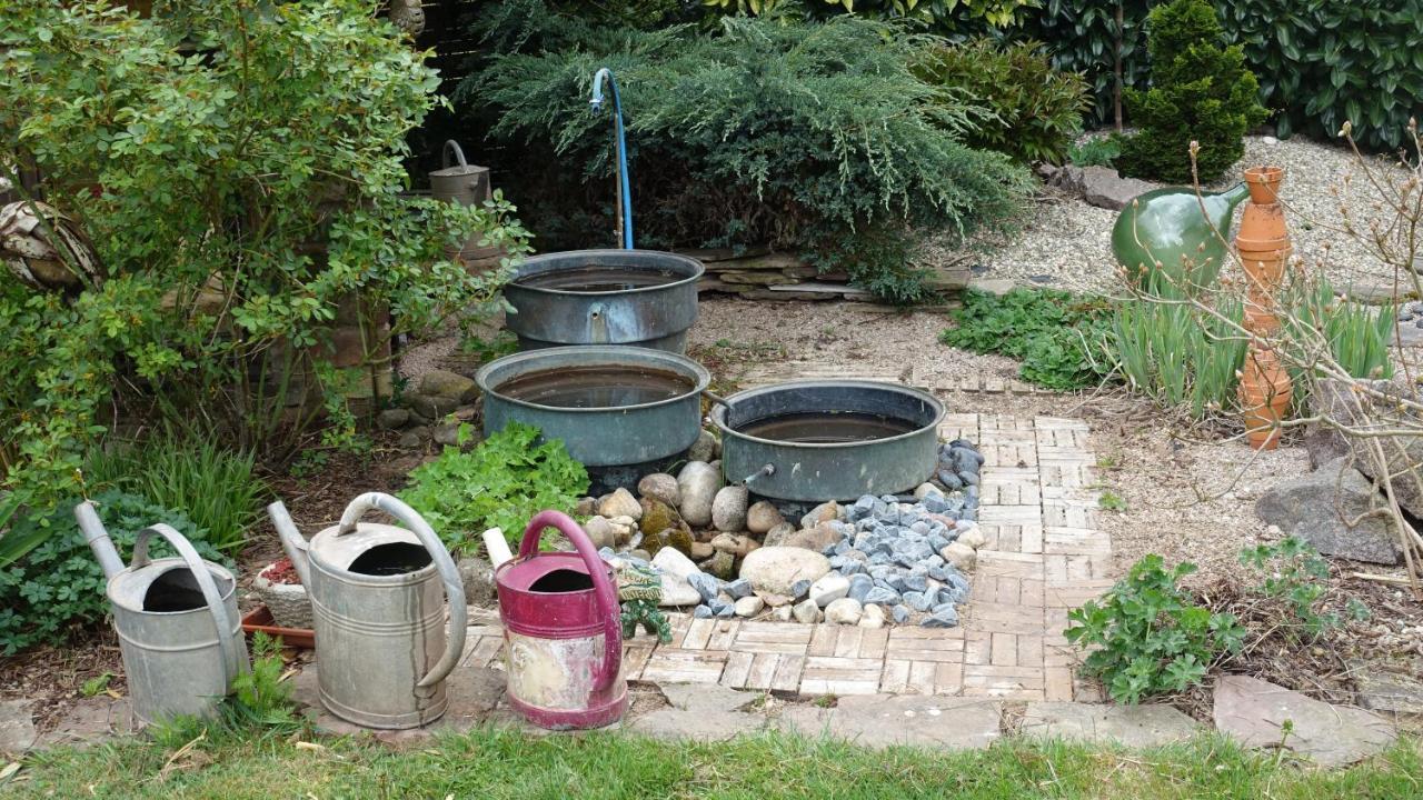 Le Jardin Des Secrets Bed and Breakfast La Voivre  Buitenkant foto